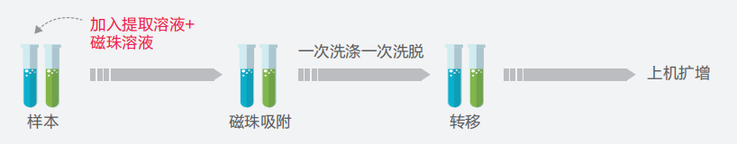 PP电子5金狮·(中国区)游戏官方网站