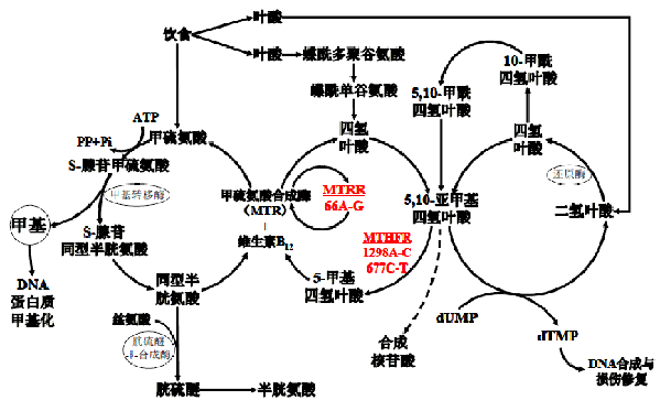 PP电子5金狮·(中国区)游戏官方网站
