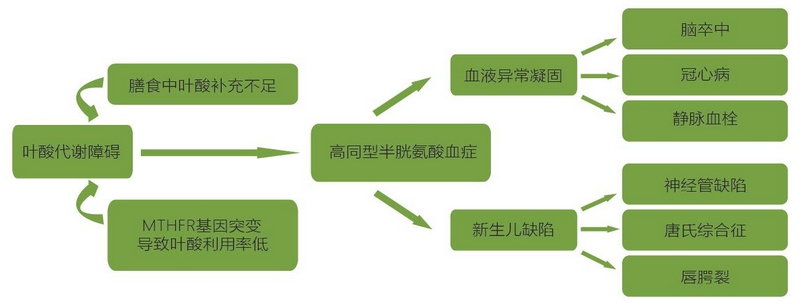 PP电子5金狮·(中国区)游戏官方网站