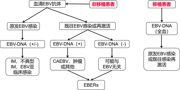 PP电子5金狮·(中国区)游戏官方网站