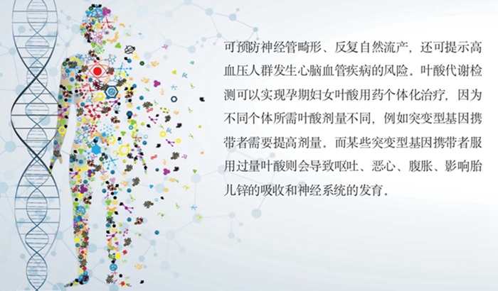 PP电子5金狮·(中国区)游戏官方网站