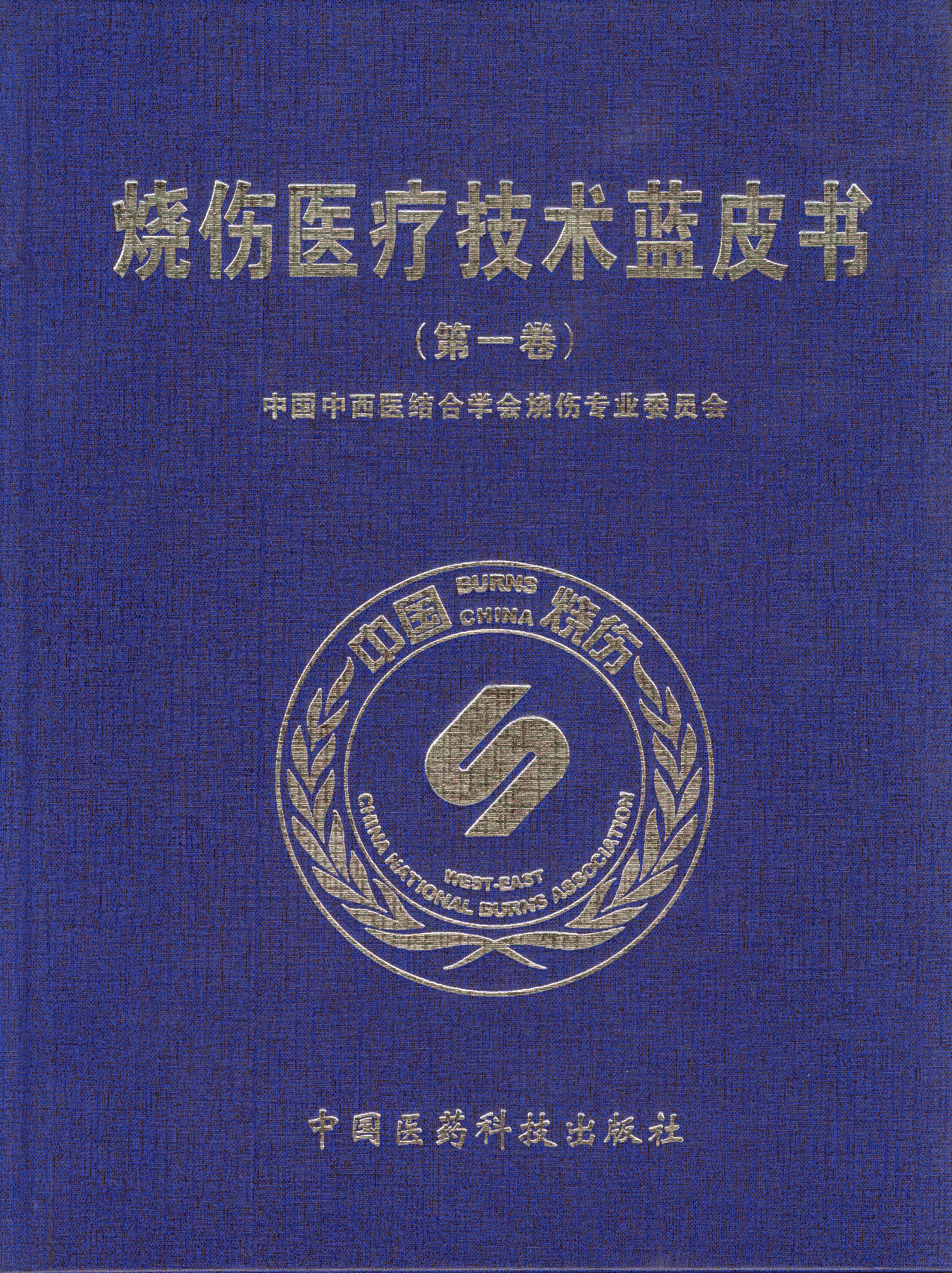 菲彩国际集团 知识产权 专著