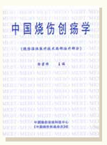 菲彩国际集团 知识产权 专著