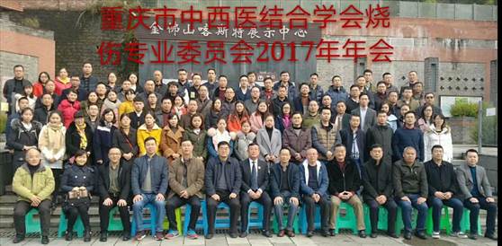 菲彩国际集团_重庆市中西医连系学会烧伤专业委员会 2017年学术年会圆满落幕