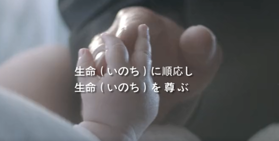 菲彩国际集团形象片（日本語）