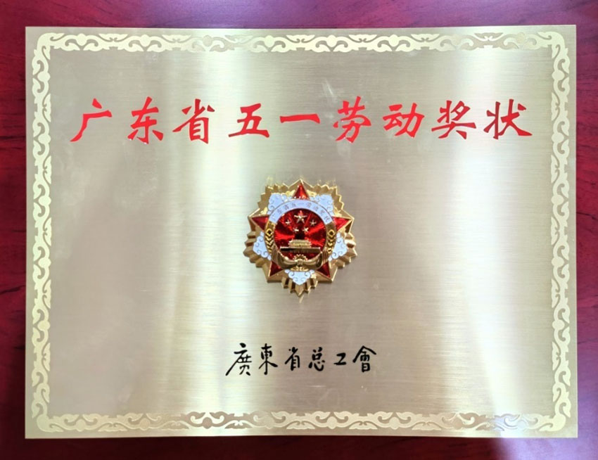 菲彩国际集团_喜讯：汕头菲彩国际荣获“广东省五一劳动奖状”