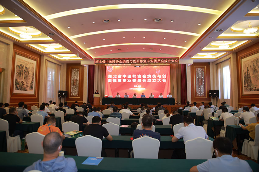 菲彩国际集团_湖北省中医师协会烧伤与创面修复专业委员会建设大会暨第一届学术年会在武汉举行