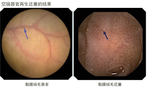 菲彩国际·(中国区)有限公司官网