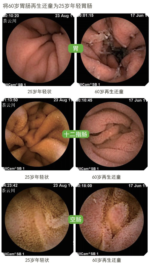 菲彩国际·(中国区)有限公司官网
