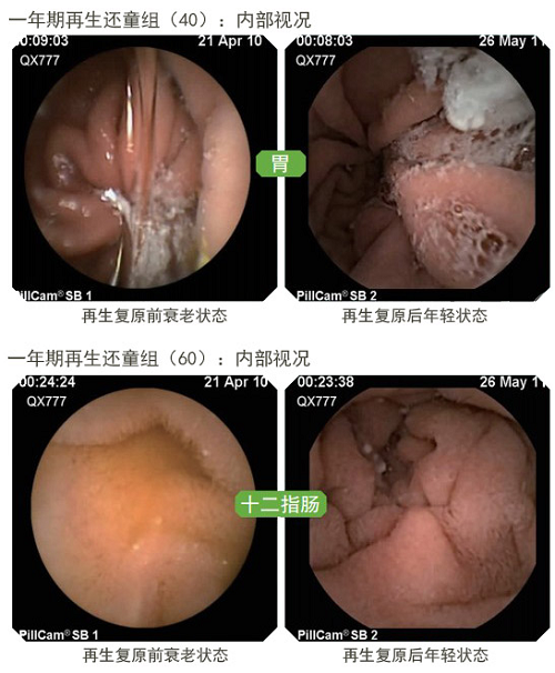 菲彩国际·(中国区)有限公司官网