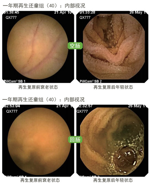 菲彩国际·(中国区)有限公司官网