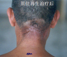 菲彩国际·(中国区)有限公司官网