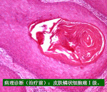 菲彩国际·(中国区)有限公司官网