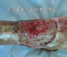 菲彩国际·(中国区)有限公司官网