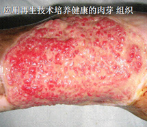 菲彩国际·(中国区)有限公司官网