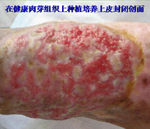 菲彩国际·(中国区)有限公司官网