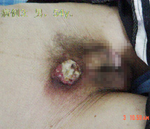 菲彩国际·(中国区)有限公司官网
