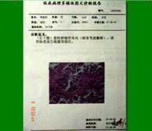菲彩国际·(中国区)有限公司官网