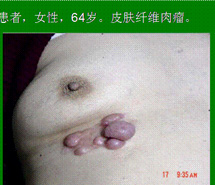 菲彩国际·(中国区)有限公司官网