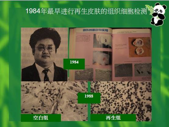 菲彩国际·(中国区)有限公司官网