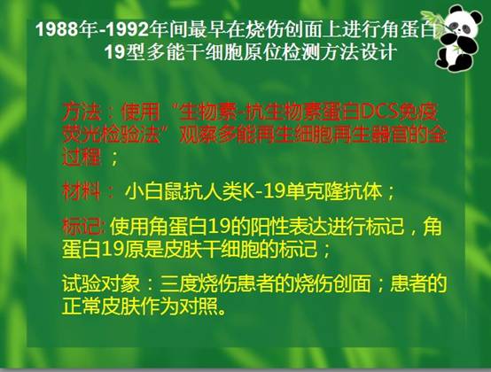 菲彩国际·(中国区)有限公司官网