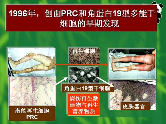 菲彩国际·(中国区)有限公司官网