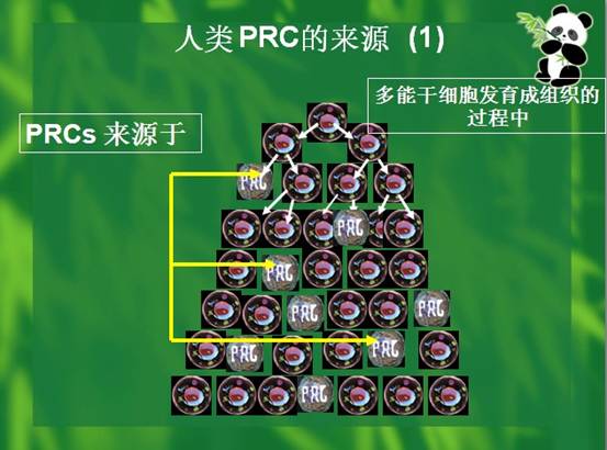 菲彩国际·(中国区)有限公司官网
