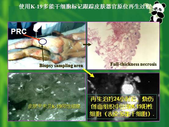 菲彩国际·(中国区)有限公司官网