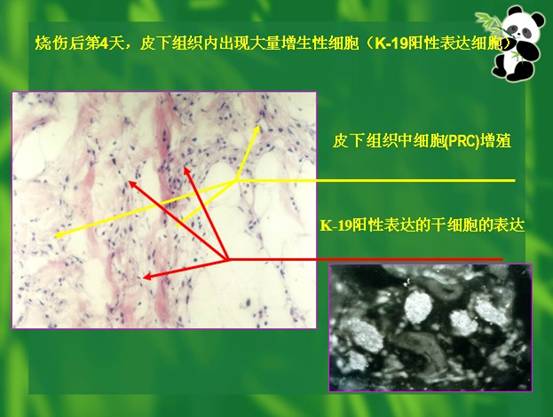菲彩国际·(中国区)有限公司官网