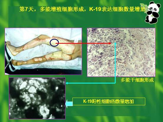 菲彩国际·(中国区)有限公司官网