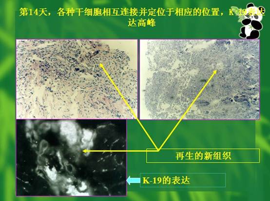 菲彩国际·(中国区)有限公司官网