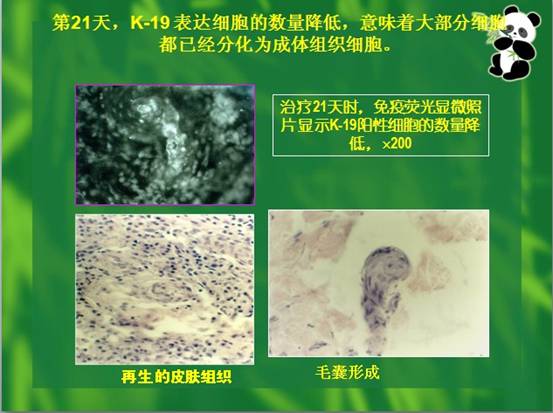 菲彩国际·(中国区)有限公司官网