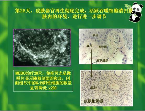 菲彩国际·(中国区)有限公司官网