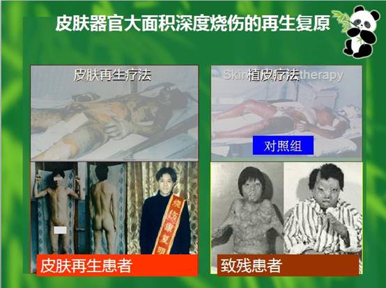 菲彩国际·(中国区)有限公司官网