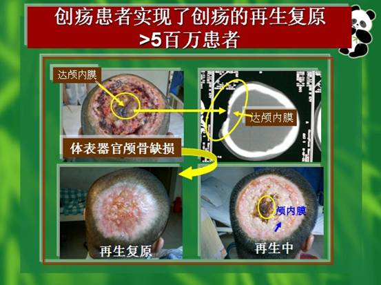 菲彩国际·(中国区)有限公司官网