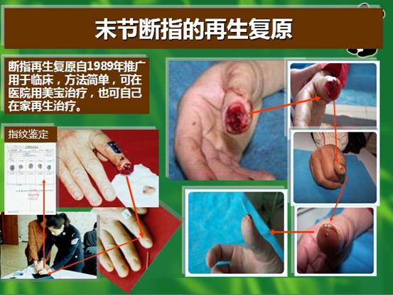 菲彩国际·(中国区)有限公司官网