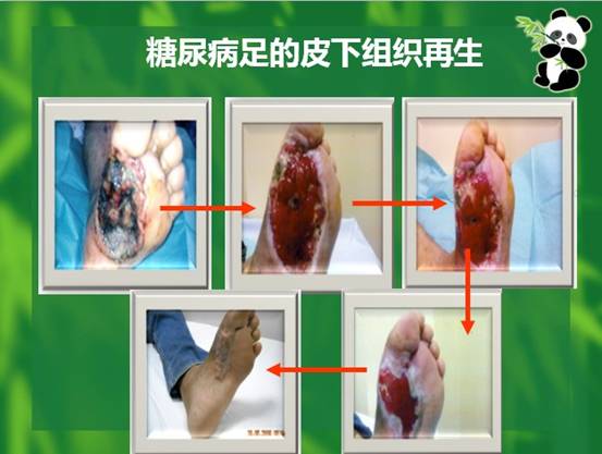 菲彩国际·(中国区)有限公司官网