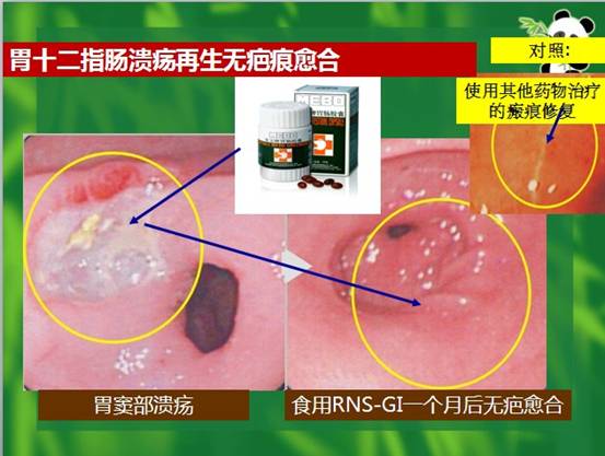 菲彩国际·(中国区)有限公司官网