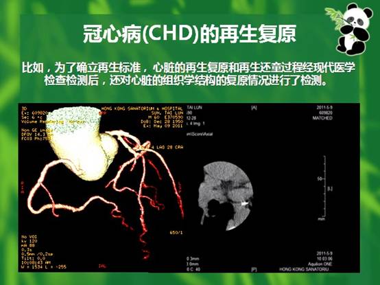 菲彩国际·(中国区)有限公司官网