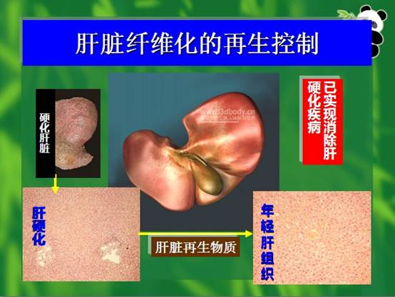 菲彩国际·(中国区)有限公司官网