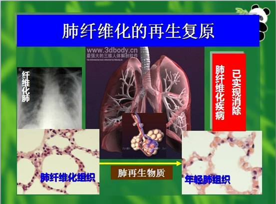 菲彩国际·(中国区)有限公司官网