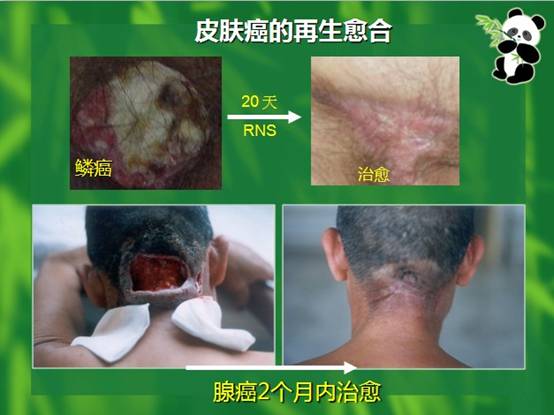 菲彩国际·(中国区)有限公司官网