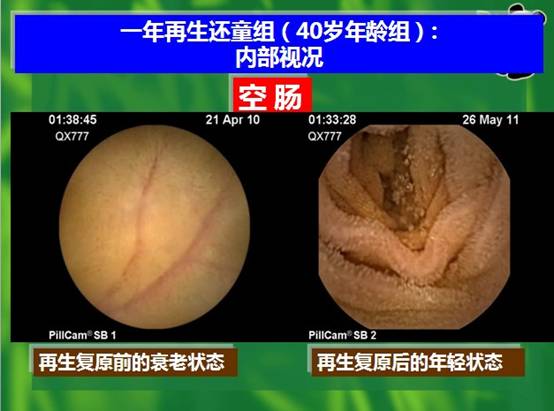 菲彩国际·(中国区)有限公司官网