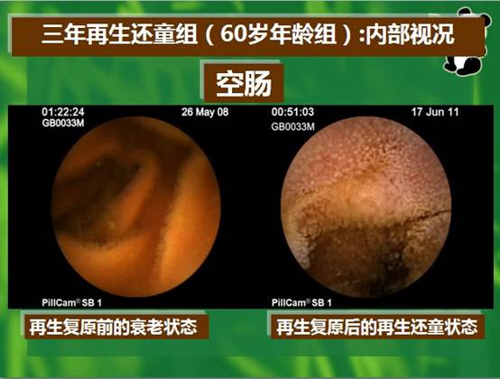 菲彩国际·(中国区)有限公司官网