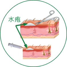 菲彩国际·(中国区)有限公司官网