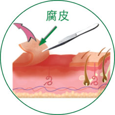 菲彩国际·(中国区)有限公司官网