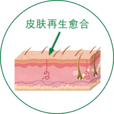 菲彩国际·(中国区)有限公司官网