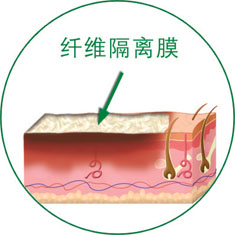 菲彩国际·(中国区)有限公司官网