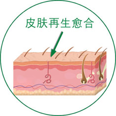菲彩国际·(中国区)有限公司官网