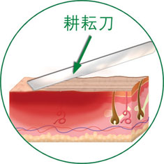 菲彩国际·(中国区)有限公司官网